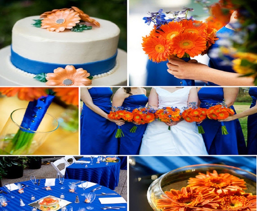 Theme cưới màu xanh hoàng gia và màu cam